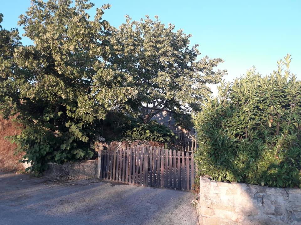 Casa Do Forno Da Aldeia - Serra Da Estrela Seixo da Beira Extérieur photo